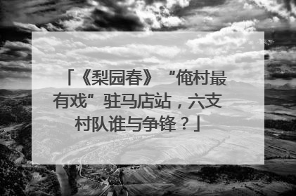 《梨园春》“俺村最有戏”驻马店站，六支村队谁与争锋？