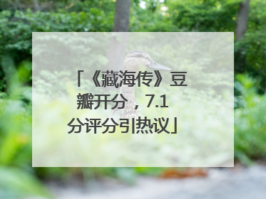 《藏海传》豆瓣开分，7.1分评分引热议