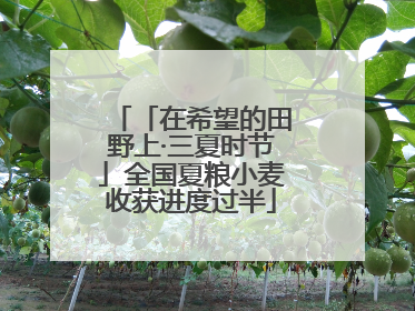 「在希望的田野上·三夏时节」全国夏粮小麦收获进度过半