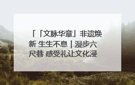 「文脉华章」非遗焕新 生生不息｜漫步六尺巷 感受礼让文化浸润的“巷”往生活
