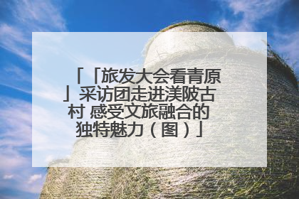 「旅发大会看青原」采访团走进渼陂古村 感受文旅融合的独特魅力（图）