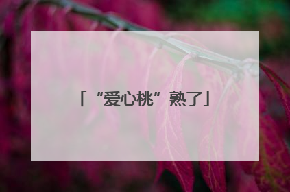 “爱心桃”熟了