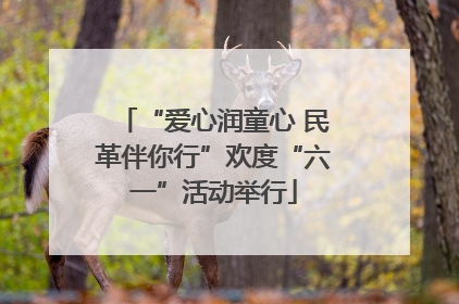 “爱心润童心 民革伴你行”欢度“六一”活动举行