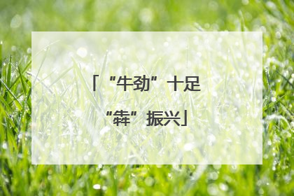 “牛劲”十足“犇”振兴