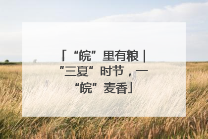 “皖”里有粮｜“三夏”时节，一“皖”麦香