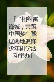“相约雷锋城，共筑中国梦”豫辽两地追锋少年研学活动举办