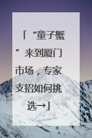“童子蟹”来到厦门市场，专家支招如何挑选→
