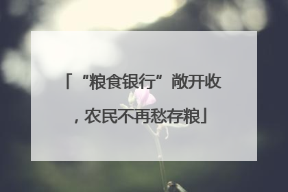 “粮食银行”敞开收，农民不再愁存粮