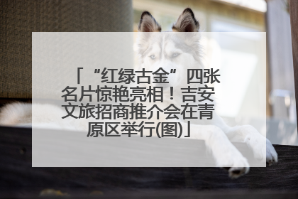 “红绿古金”四张名片惊艳亮相！吉安文旅招商推介会在青原区举行(图)