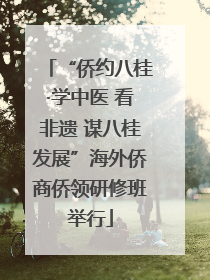 “侨约八桂·学中医 看非遗 谋八桂发展”海外侨商侨领研修班举行