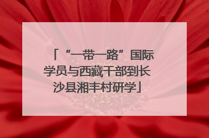“一带一路”国际学员与西藏干部到长沙县湘丰村研学