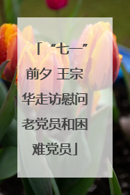 “七一”前夕 王宗华走访慰问老党员和困难党员