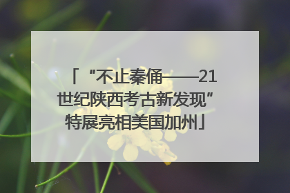 “不止秦俑——21世纪陕西考古新发现”特展亮相美国加州