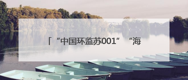 “中国环监苏001”“海巡31”船舶开放日：中外学子共探海洋环保科技 跨文化交流筑牢“蓝色”友谊