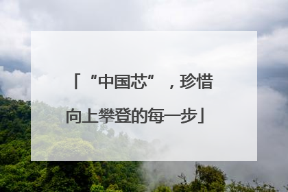 “中国芯”，珍惜向上攀登的每一步