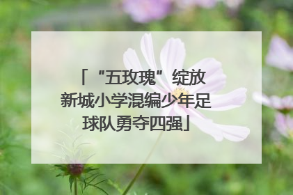 “五玫瑰”绽放 新城小学混编少年足球队勇夺四强