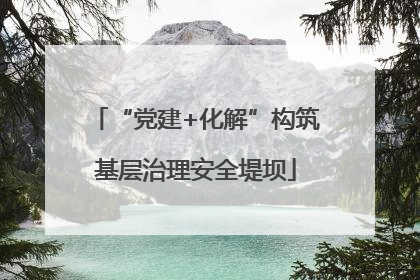 “党建+化解”构筑基层治理安全堤坝