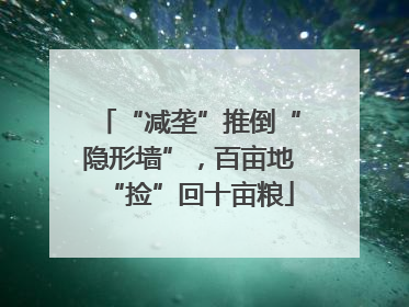 “减垄”推倒“隐形墙”，百亩地“捡”回十亩粮