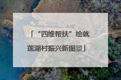 “四维帮扶”绘就莲湖村振兴新图景