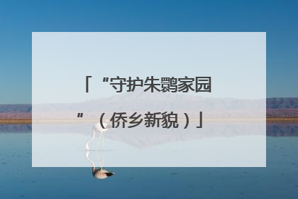 “守护朱鹮家园”（侨乡新貌）