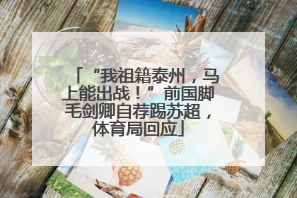 “我祖籍泰州，马上能出战！”前国脚毛剑卿自荐踢苏超，体育局回应