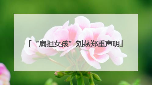 “扁担女孩”刘燕郑重声明