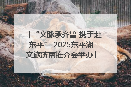 “文脉承齐鲁 携手赴东平” 2025东平湖文旅济南推介会举办