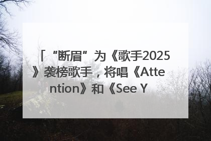 “断眉”为《歌手2025》袭榜歌手，将唱《Attention》和《See You Again》