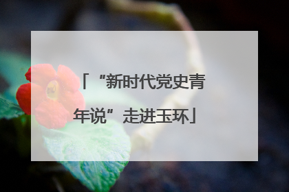 “新时代党史青年说”走进玉环