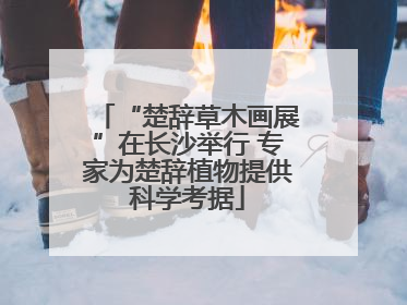 “楚辞草木画展”在长沙举行 专家为楚辞植物提供科学考据