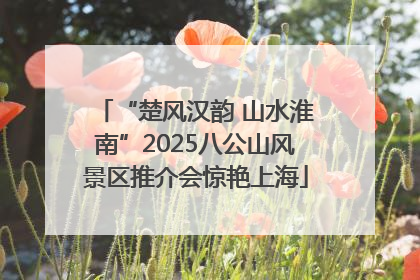 “楚风汉韵 山水淮南”2025八公山风景区推介会惊艳上海