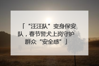 “汪汪队”变身保安队，春节警犬上岗守护群众“安全感”