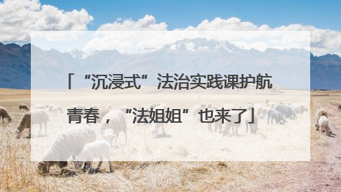 “沉浸式”法治实践课护航青春，“法姐姐”也来了