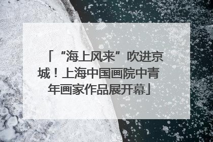 “海上风来”吹进京城！上海中国画院中青年画家作品展开幕