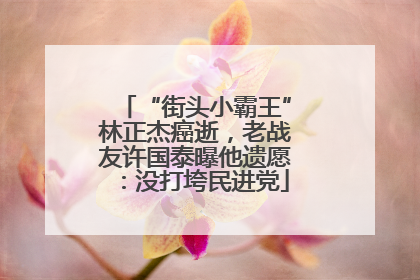 “街头小霸王”林正杰癌逝，老战友许国泰曝他遗愿：没打垮民进党