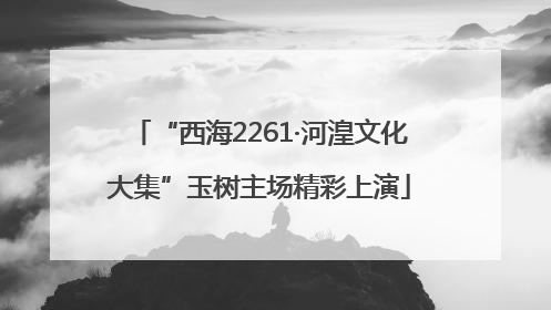 “西海2261·河湟文化大集”玉树主场精彩上演