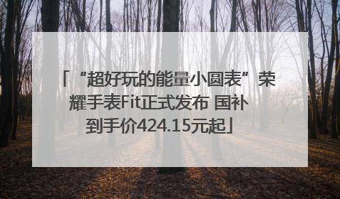 “超好玩的能量小圆表”荣耀手表Fit正式发布 国补到手价424.15元起