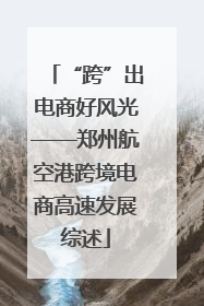 “跨”出电商好风光——郑州航空港跨境电商高速发展综述