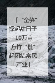 “金笋”撑起甜日子 10万亩方竹“链”起团结富民产业