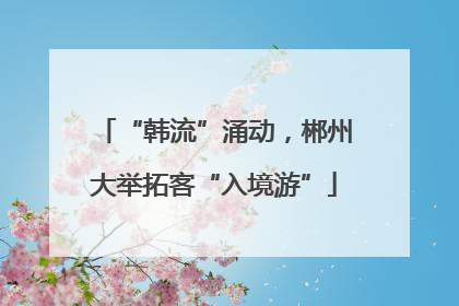 “韩流”涌动，郴州大举拓客“入境游”