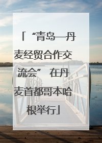 “青岛—丹麦经贸合作交流会” 在丹麦首都哥本哈根举行