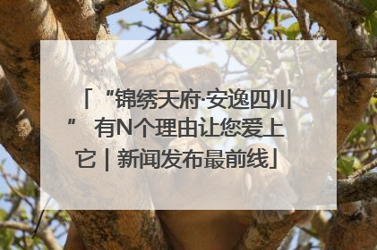 “锦绣天府·安逸四川” 有N个理由让您爱上它｜新闻发布最前线