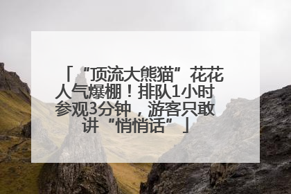 “顶流大熊猫”花花人气爆棚!排队1小时参观3分钟,游客只敢讲“悄悄话”