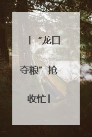 “龙口夺粮”抢收忙
