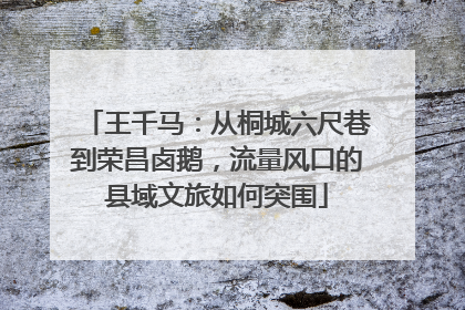 王千马：从桐城六尺巷到荣昌卤鹅，流量风口的县域文旅如何突围