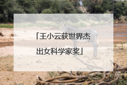 王小云获世界杰出女科学家奖