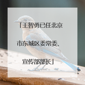 王智勇已任北京市东城区委常委、宣传部部长