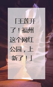 王莲开了！福州这个网红公园，上新了！
