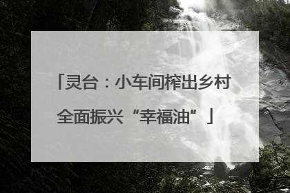 灵台：小车间榨出乡村全面振兴“幸福油”