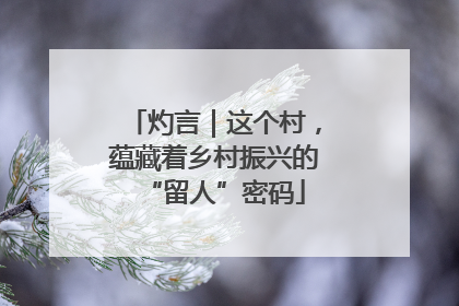 灼言｜这个村，蕴藏着乡村振兴的“留人”密码
